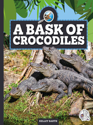 cover image of A Bask of Crocodiles